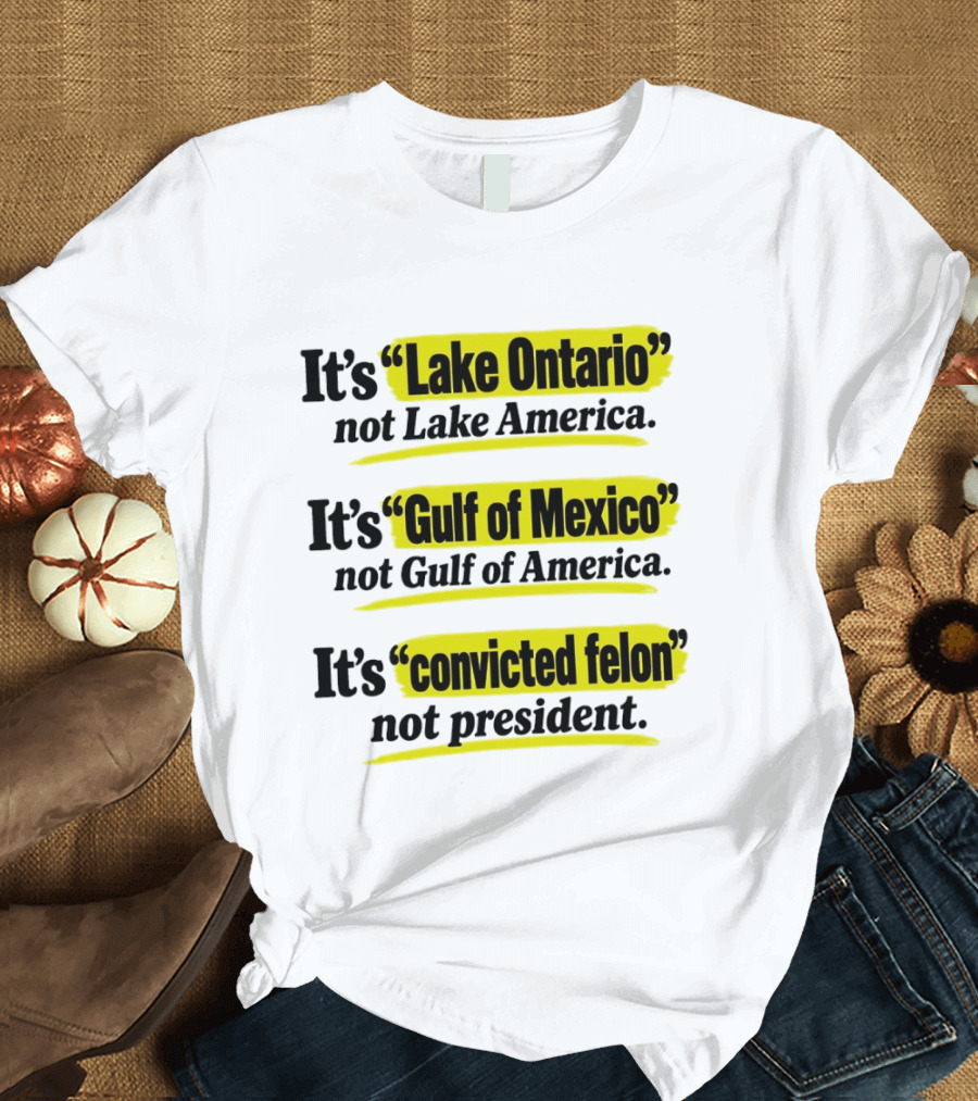 It's Lake Ontario Not Lake America Gulf Of Mexico Not Gulf Of America Convicted Felon Not President T-Shirt