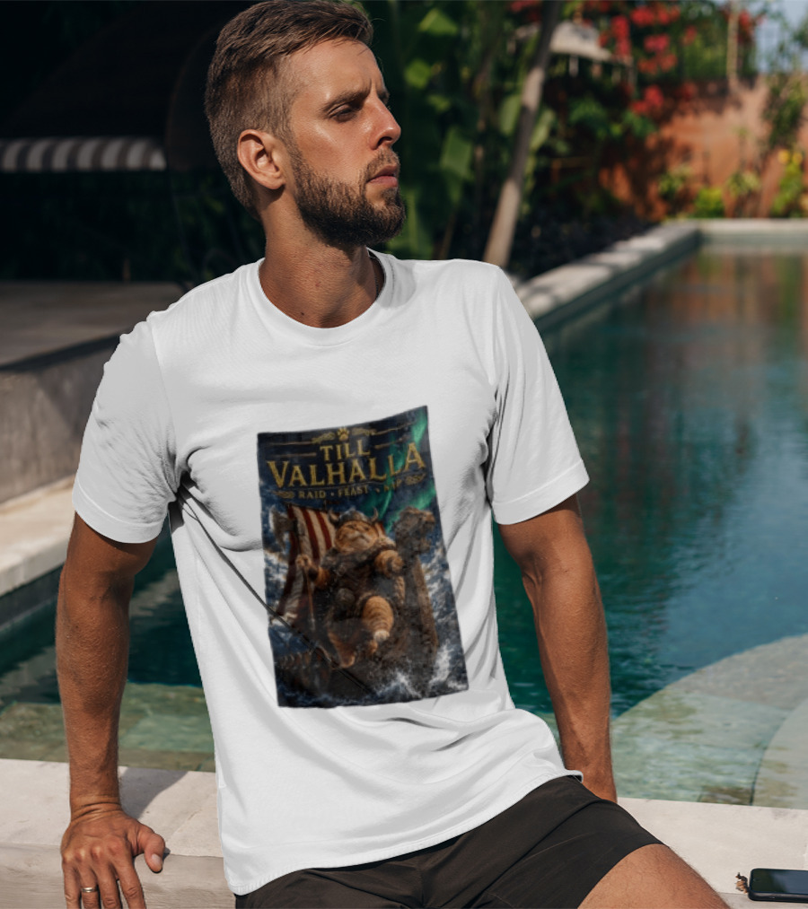 Till Valhalla Raid Feast Nap Viking Cat On Longship With Northern Lights T-Shirt