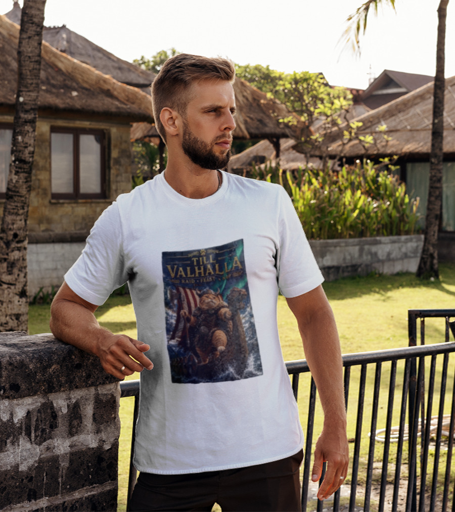 Till Valhalla Raid Feast Nap Viking Cat On Longship With Northern Lights T-Shirt