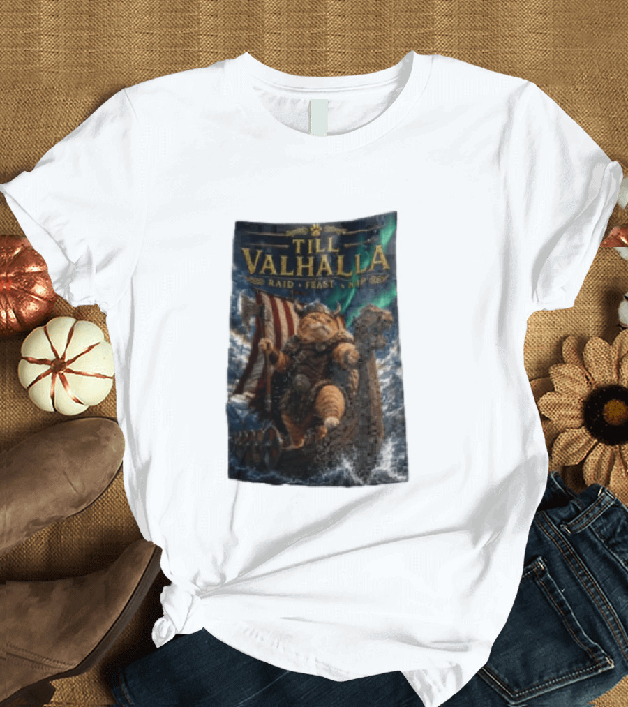Till Valhalla Raid Feast Nap Viking Cat On Longship With Northern Lights T-Shirt