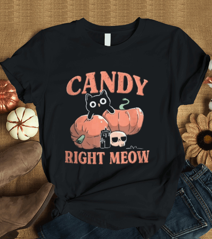 Candy Right Meow Black Cat Pumpkins Candles Skull Halloween T-Shirt
