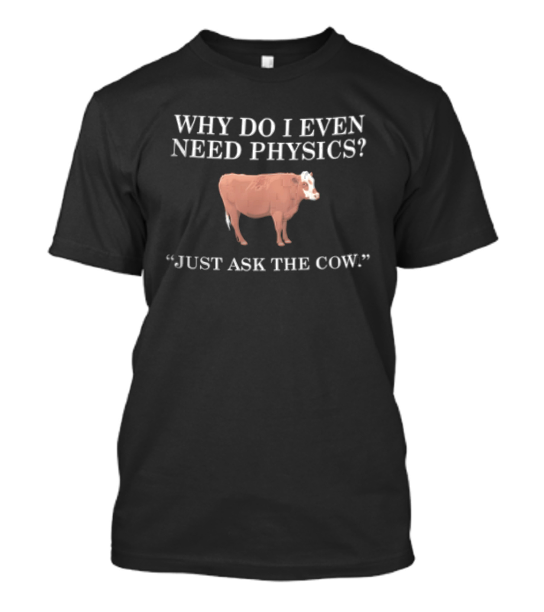 Why Do I Even Need Physics Just Ask The Cow Brown White Cattle Standing T-Shirt
