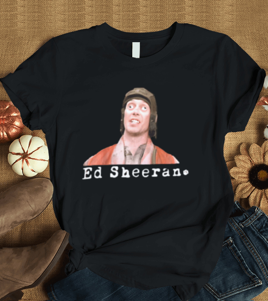Ed Sheeran Steve Buscemi Meme Face Mashup T-Shirt