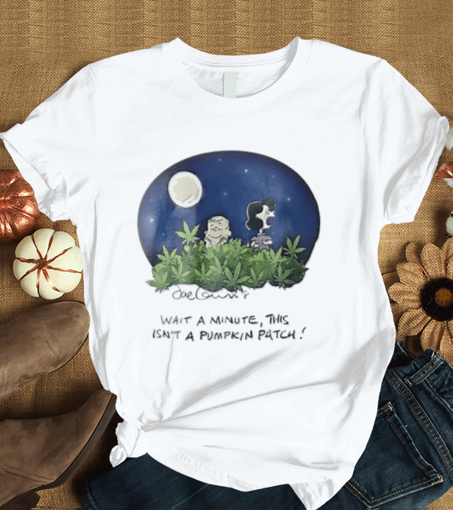 Peanuts Wait A Minute This Isn't A Pumpkin Patch Moon Night Scene Charlie Brown Lucy T-Shirt