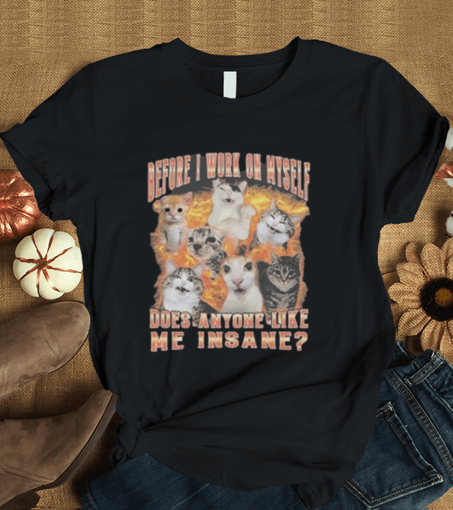 Before I Work On Myself Does Anyone Like Me Insane Cats T-Shirt