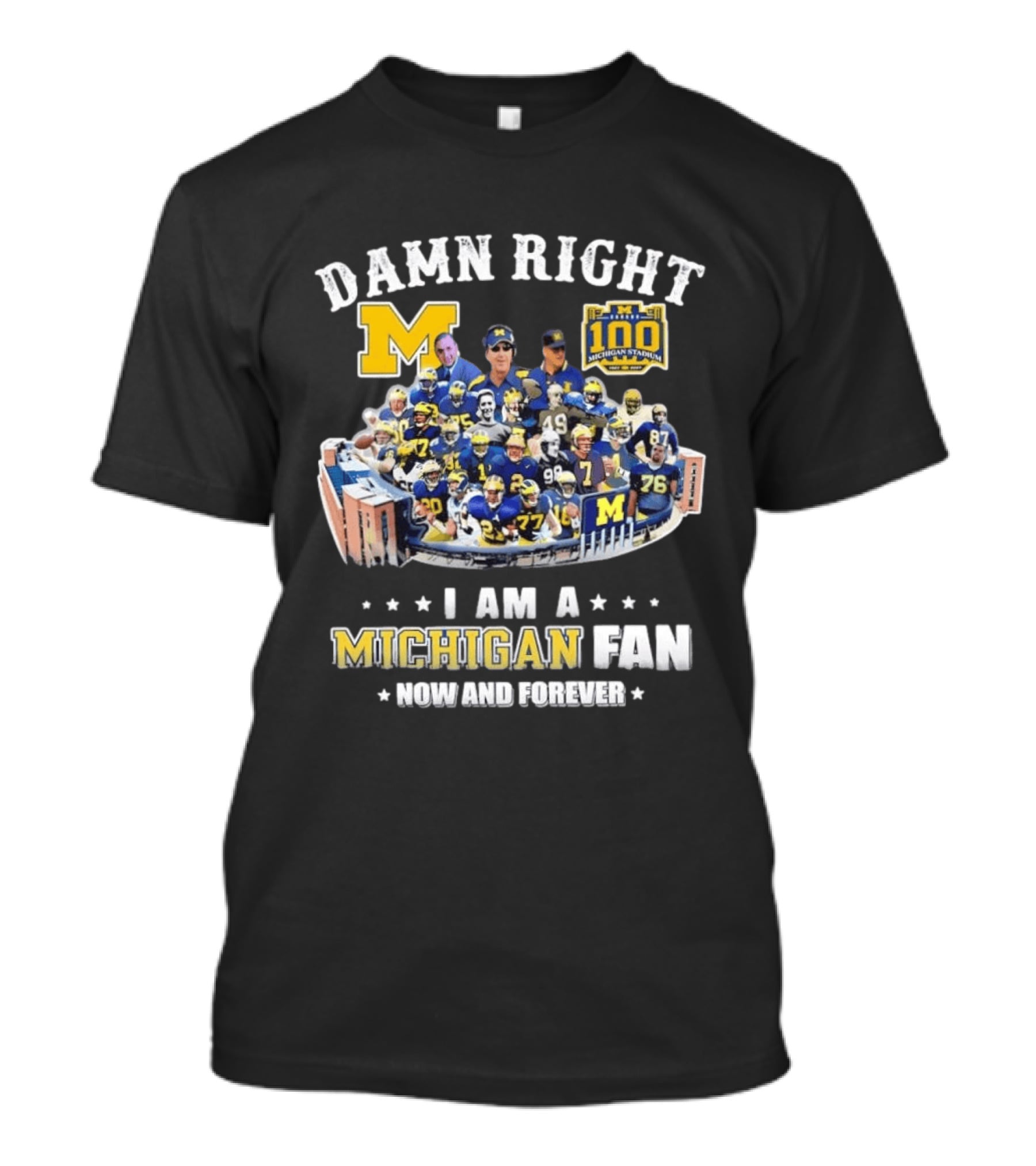 Damn Right Michigan Fan Michigan Stadium 100 Now And Forever T-Shirt