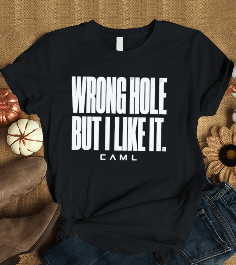 Wrong Hole But I Like It Distressed Sarcastic Saying CAML T-Shirt
