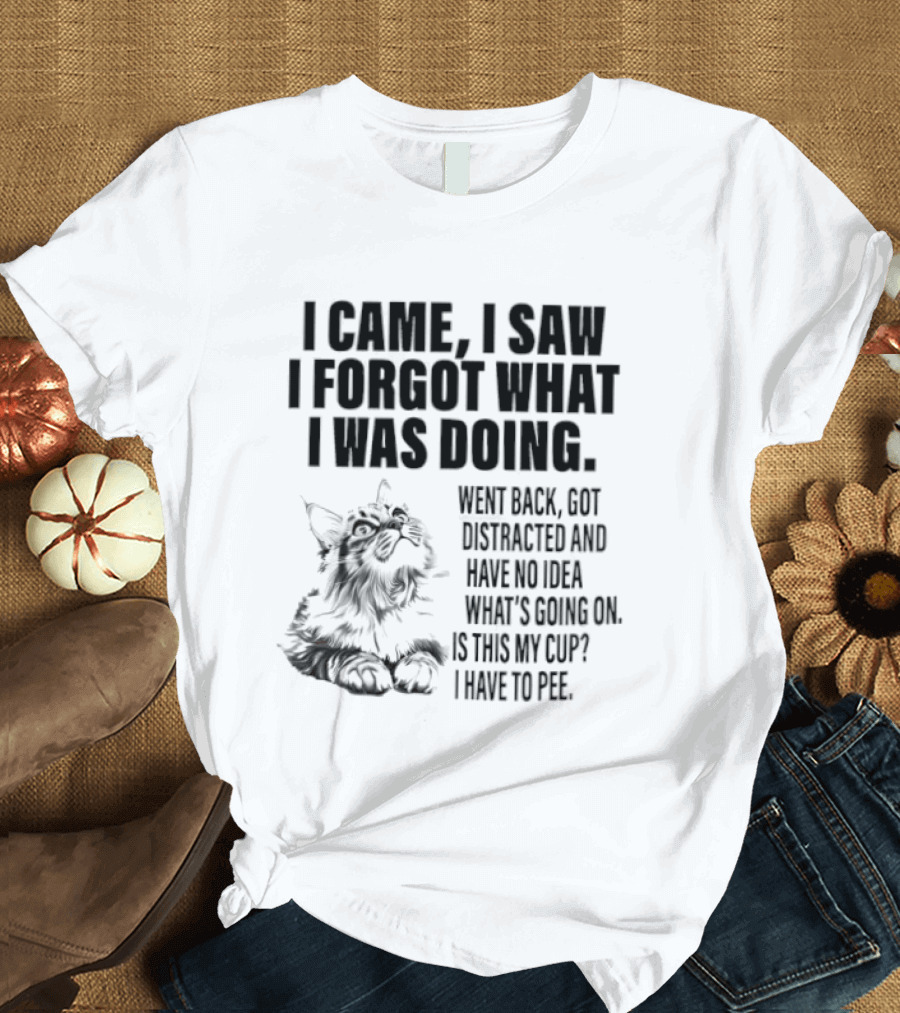 I Came I Saw I Forgot What I Was Doing Cat Got Distracted Coffee T-Shirt