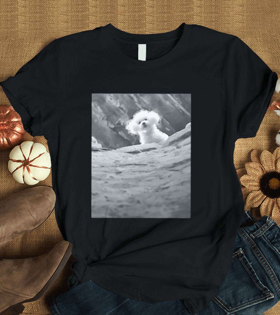 Peeking Fluffy Dog In Rocky Landscape T-Shirt