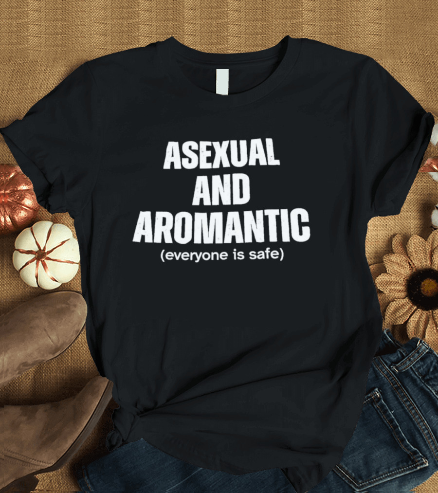 Asexual And Aromantic Everyone Is Safe Inclusive Message T-Shirt