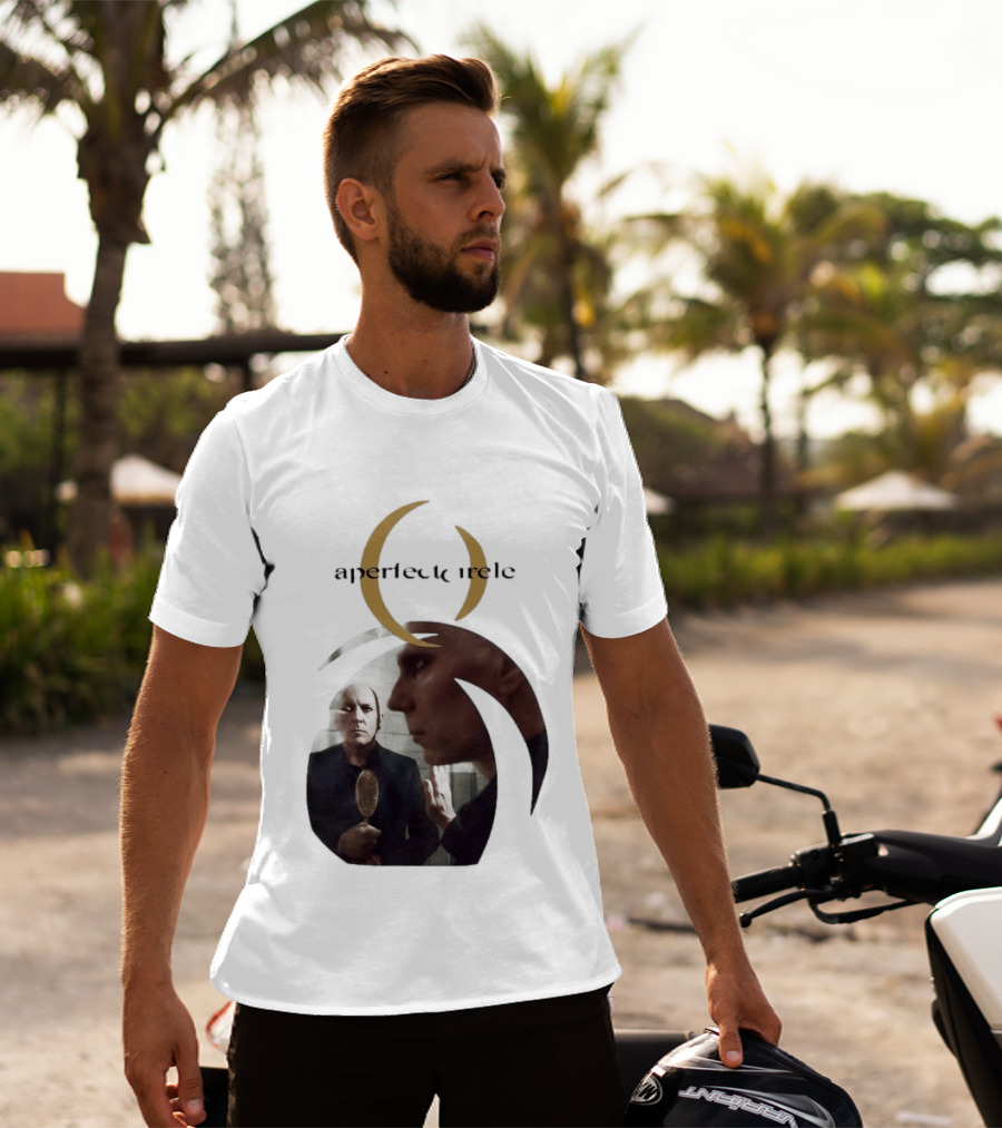 A Perfect Circle 2026 Tour Image With Band Members T-Shirt