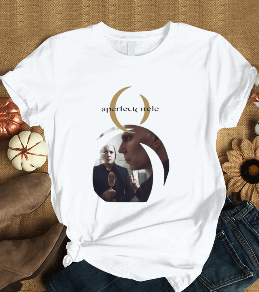 A Perfect Circle 2026 Tour Image With Band Members T-Shirt