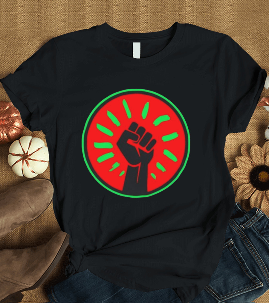 Pan African Flag Black Power Fist Resistance Unity Liberation T-Shirt