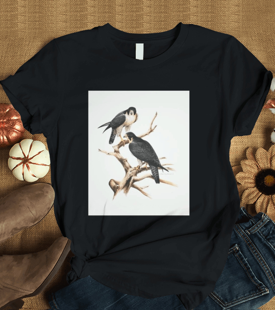 Roger Tory Peterson Peregrines 2026 Adult Ash Bird T-Shirt