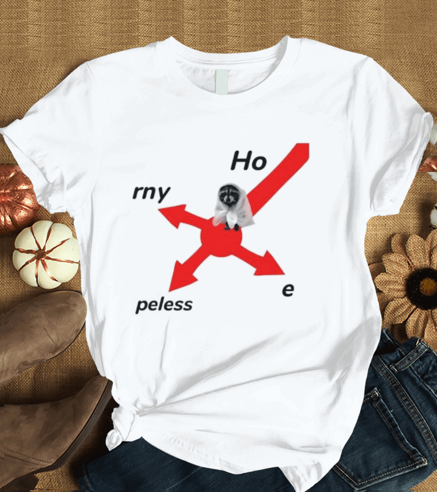 Raccoon Meme Ho Rny Peless Compass T-Shirt