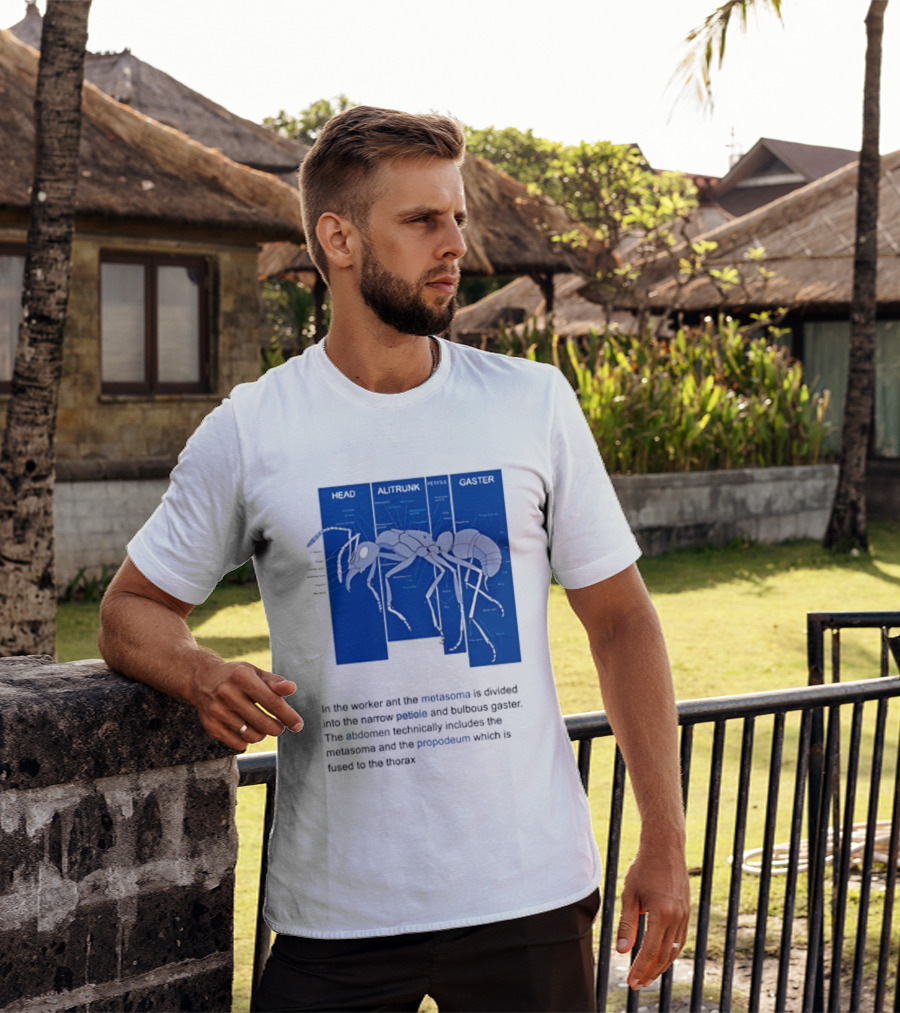 Worker Ant Diagram Head Alitrunk Gaster Metasoma Petiole Biology T-Shirt