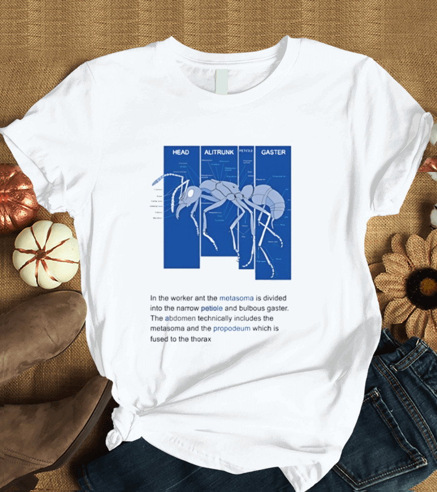 Worker Ant Diagram Head Alitrunk Gaster Metasoma Petiole Biology T-Shirt