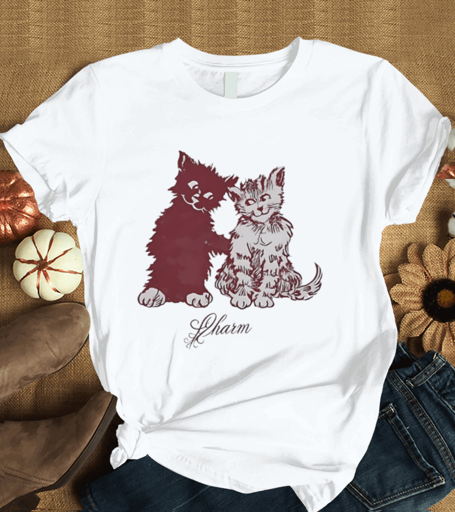 Charm Kittens Cats Hugging T-Shirt