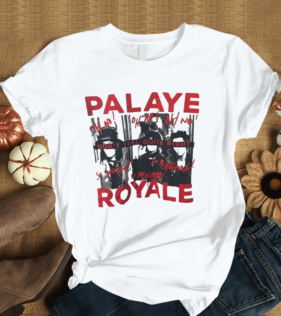 Palaye Royale Don't Feel Quite Right Oh No So Unsatisfied Misunderstood Mediocre T-Shirt