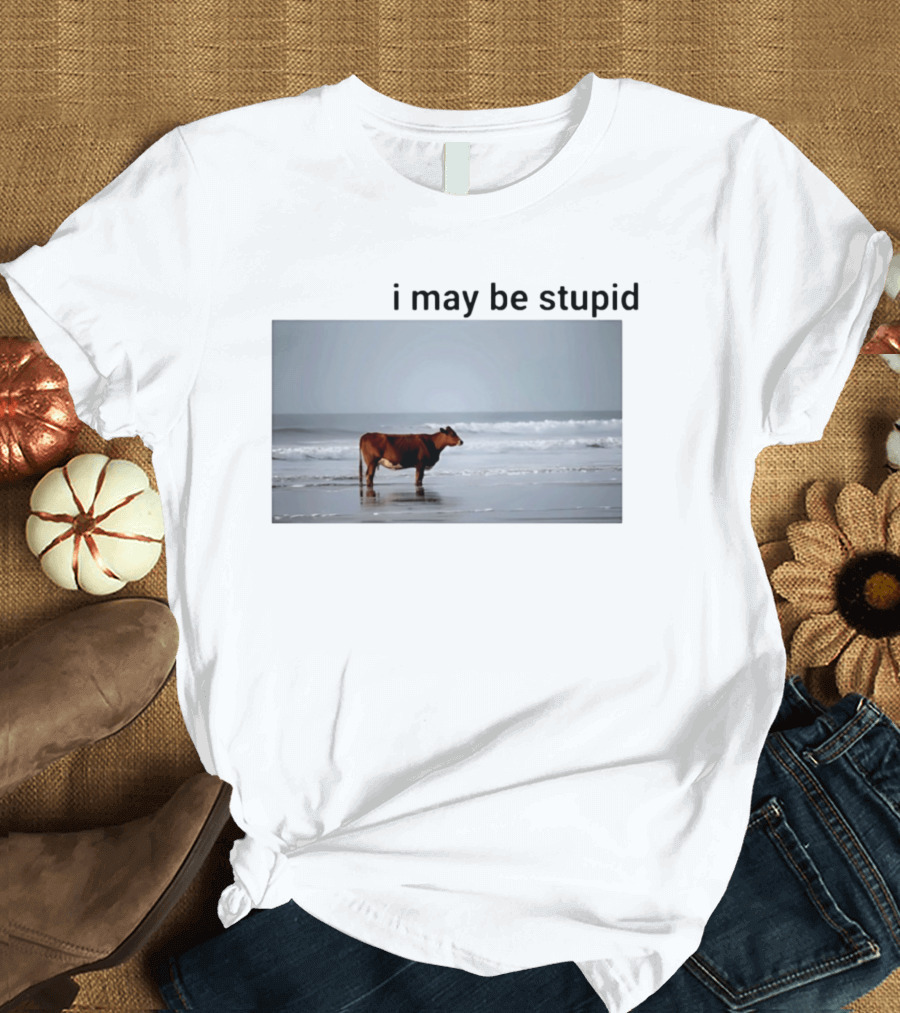 I May Be Stupid Cow At The Beach T-Shirt