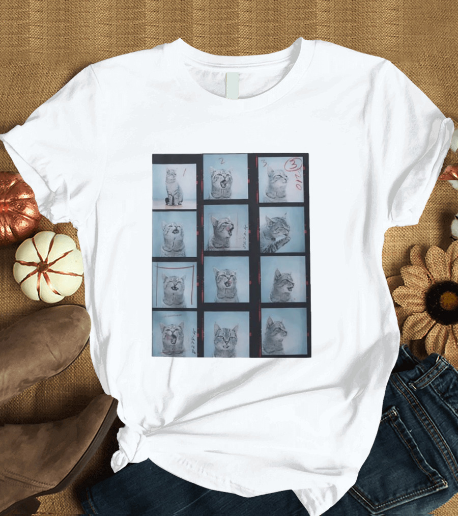 Tabby Cat Film Strip Series With Numbered Frames And Annotations T-Shirt