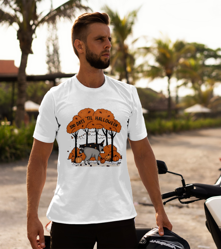 100 Days 'til Halloween Raccoon Wizard Costume In Pumpkin Patch Forest T-Shirt
