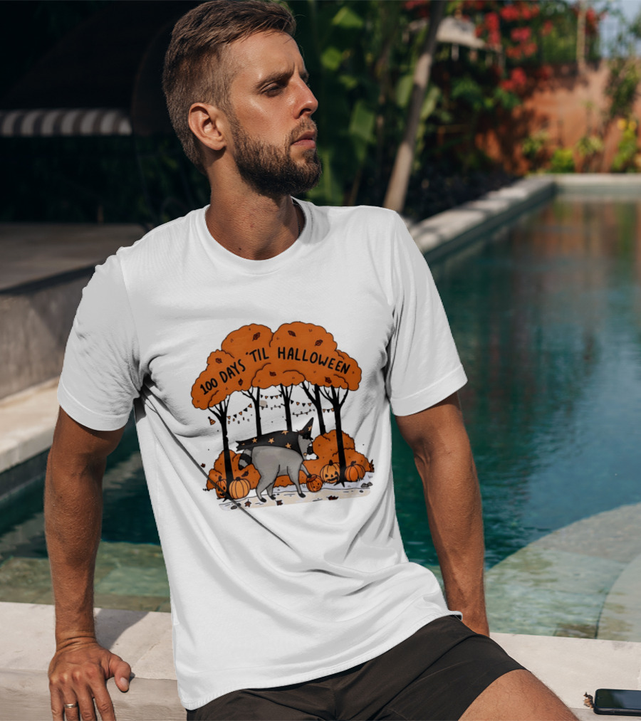 100 Days 'til Halloween Raccoon Wizard Costume In Pumpkin Patch Forest T-Shirt