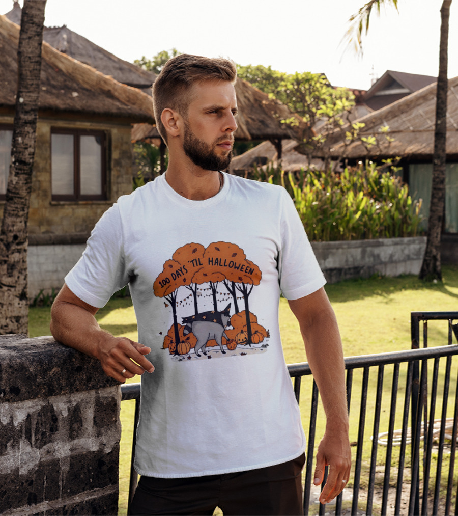100 Days 'til Halloween Raccoon Wizard Costume In Pumpkin Patch Forest T-Shirt