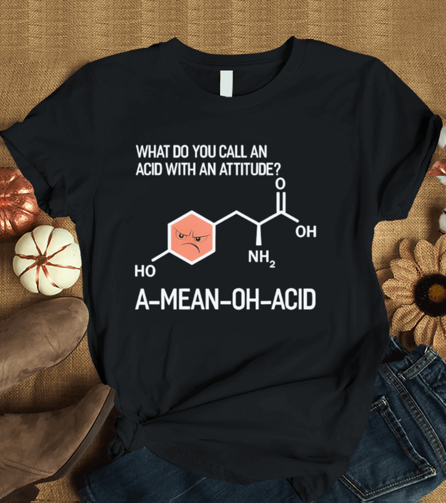 What Do You Call An Acid With An Attitude A Mean Oh Acid Chemistry Pun T-Shirt