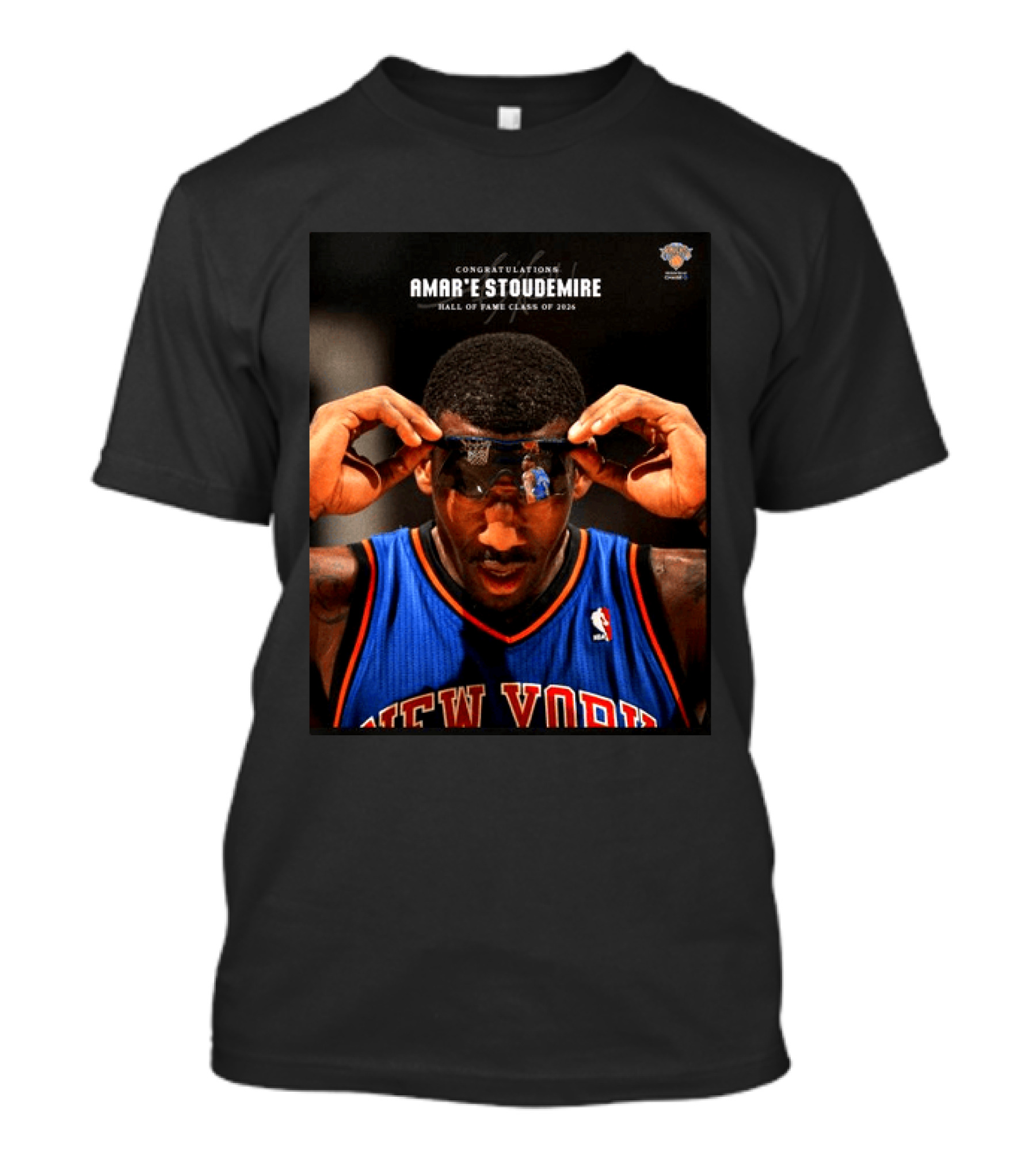 Congratulations Amar'e Stoudemire New York Knicks Hall Of Fame Class Of 2026 T-Shirt