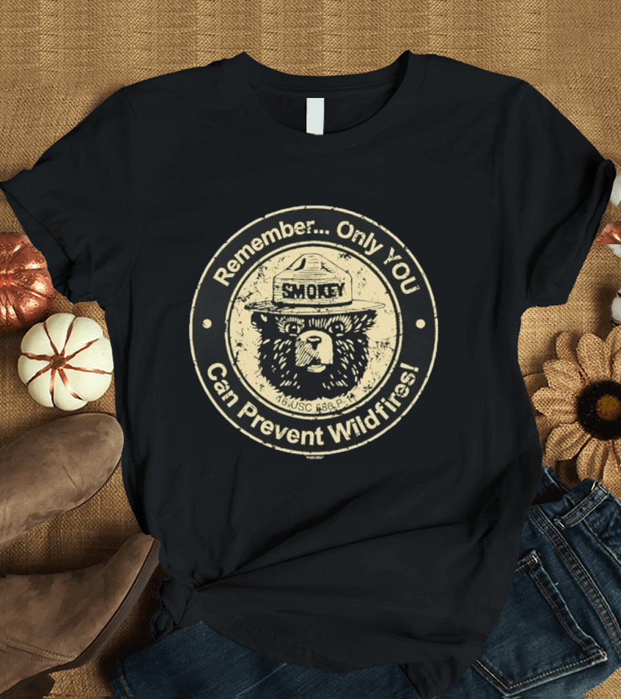 Remember Only You Can Prevent Wildfires Distressed Smokey Bear 16 USC 580p 11 T-Shirt