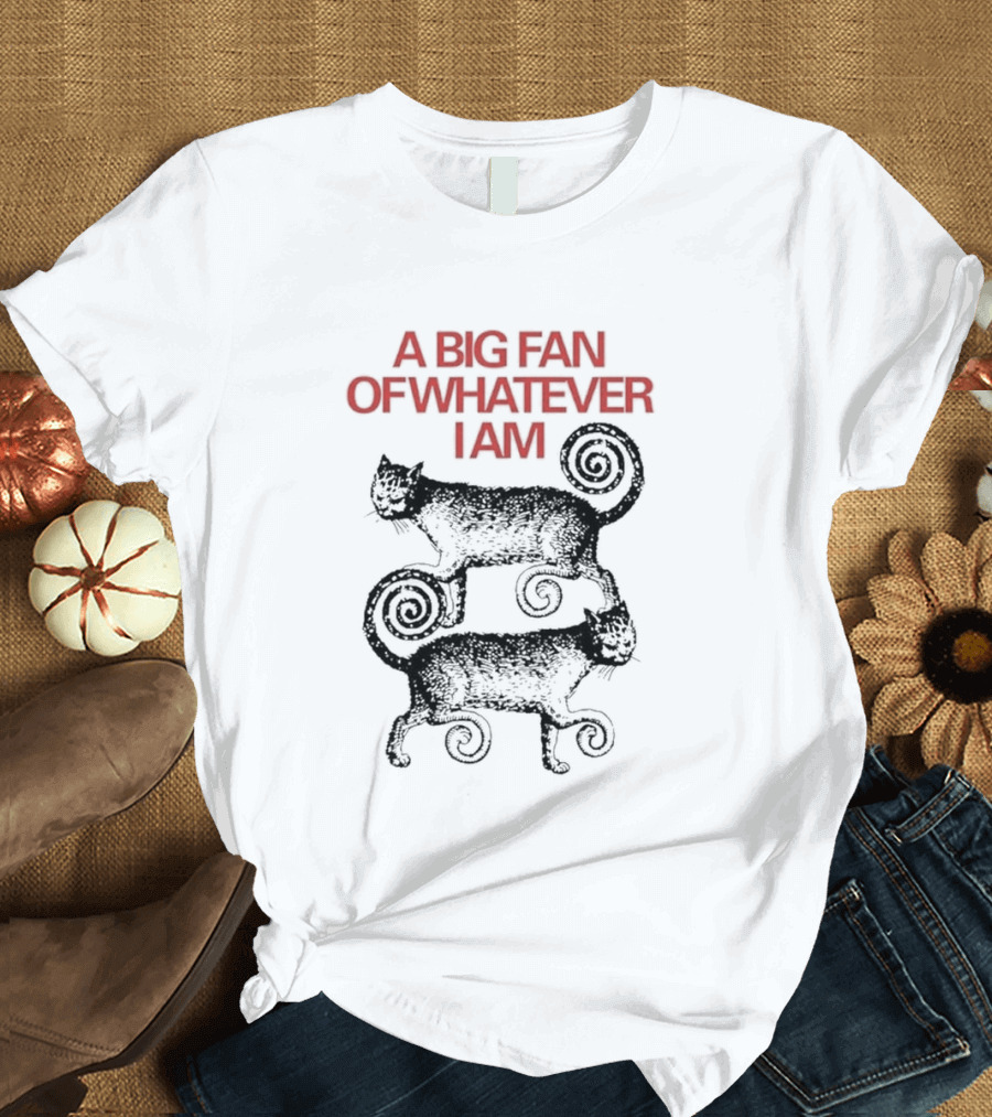 A Big Fan Of Whatever I Am Spiral Cats T-Shirt