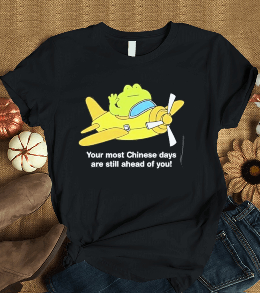 Frog Your Most Chinese Days Are Still Ahead Of You Airplane Scene T-Shirt