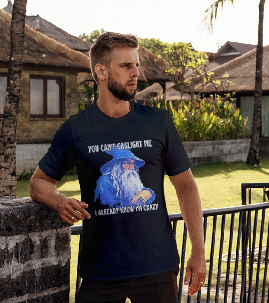 You Can't Gaslight Me I Already Know I'm Crazy Wizard Robe And Hat T-Shirt