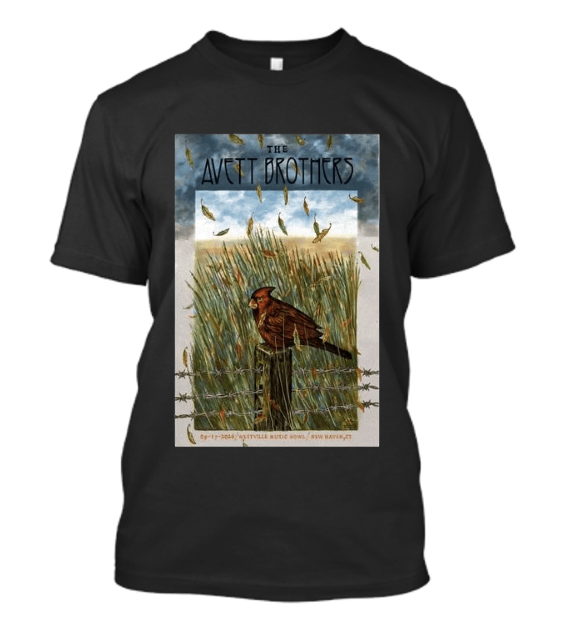 The Avett Brothers Westville Music Bowl New Haven CT Sep 17 2026 Cardinal In Field T-Shirt