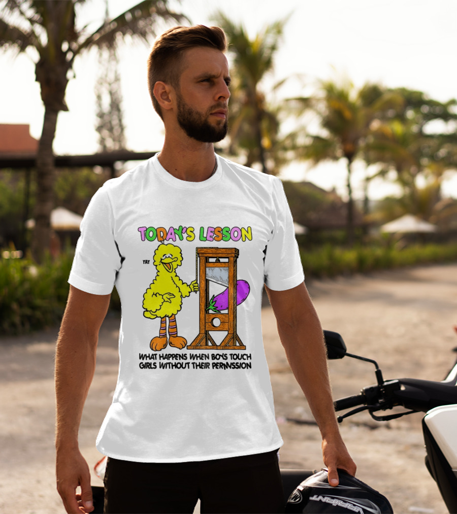 Today's Lesson What Happens When Boys Touch Girls Without Their Permission Big Bird And Guillotine T-Shirt