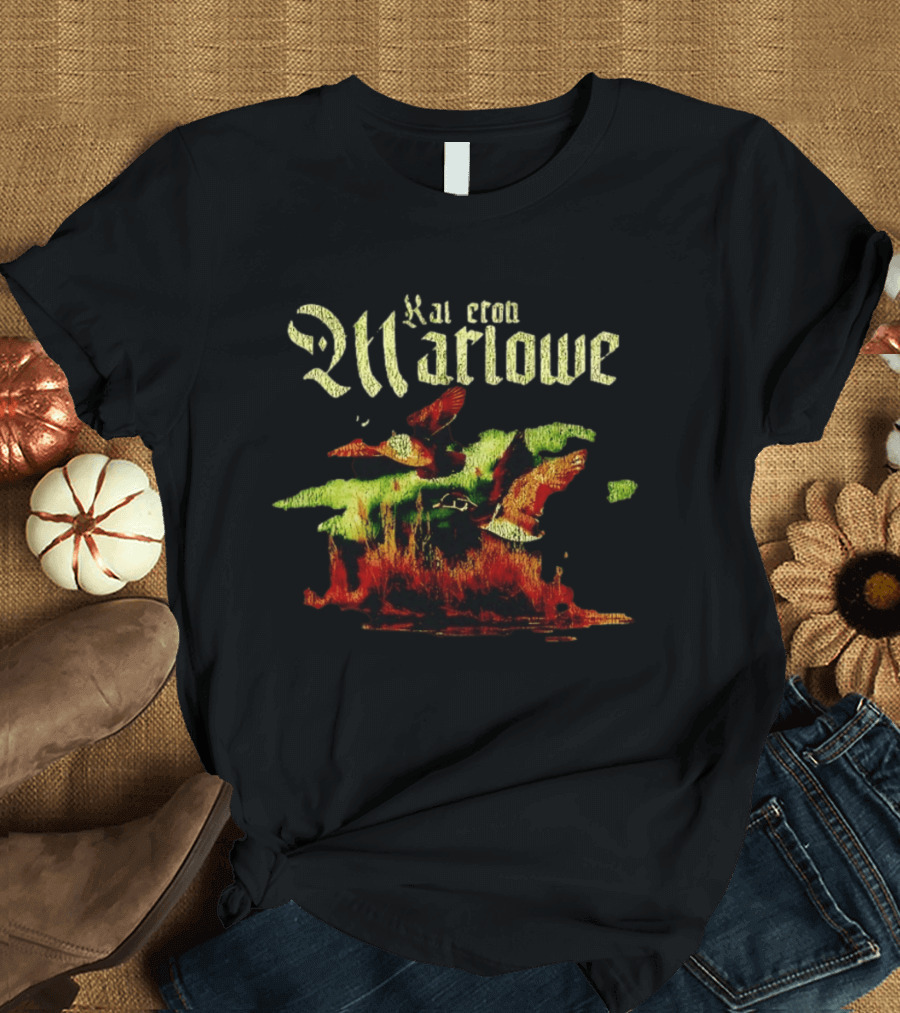 Kameron Marlowe Distressed Ducks Country Music T-Shirt
