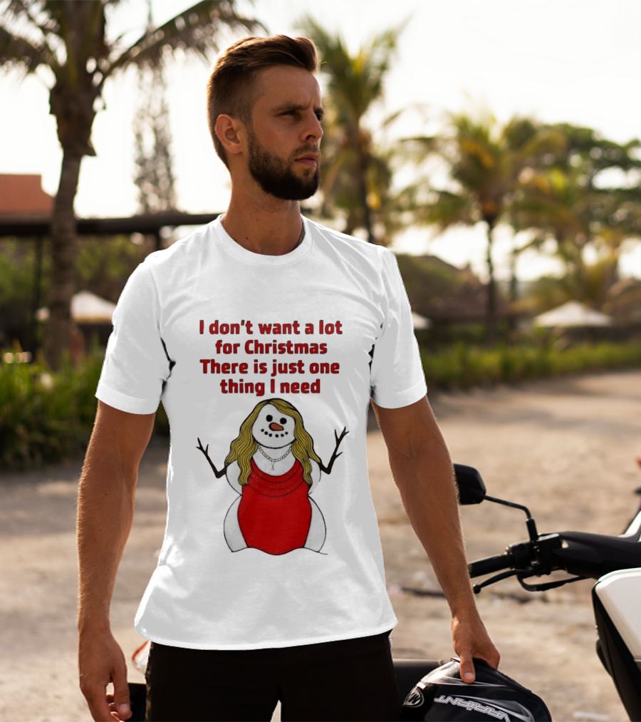 I Don't Want A Lot For Christmas There Is Just One Thing I Need Snow Woman Red Dress T-Shirt