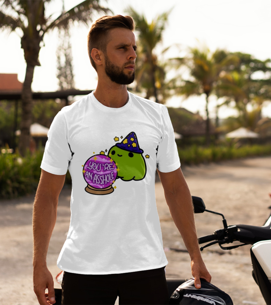 Frog Wizard Starry Hat Crystal Ball You're An Asshole T-Shirt
