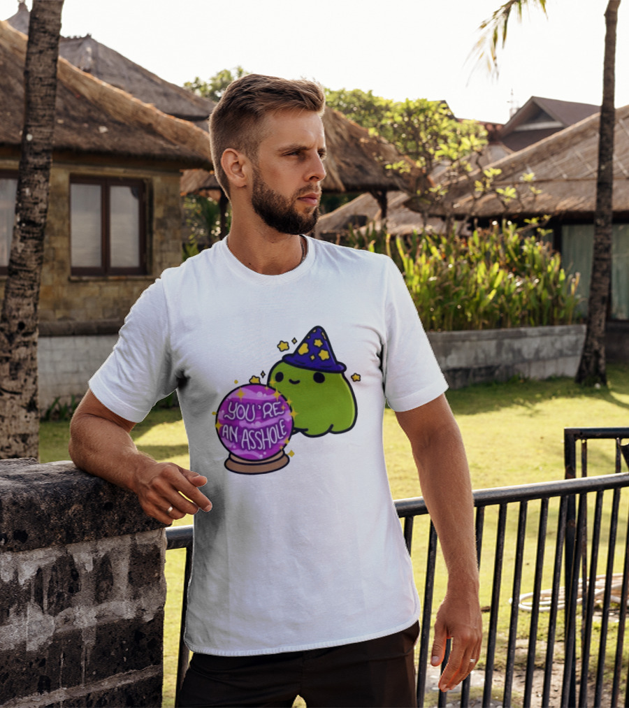 Frog Wizard Starry Hat Crystal Ball You're An Asshole T-Shirt
