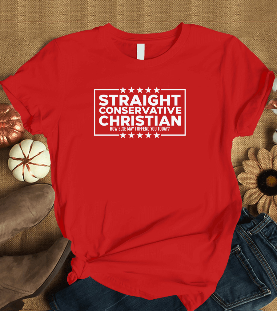 Hodgetwins Store Straight Conservative Christian How Else May I Offend You Today T-Shirt