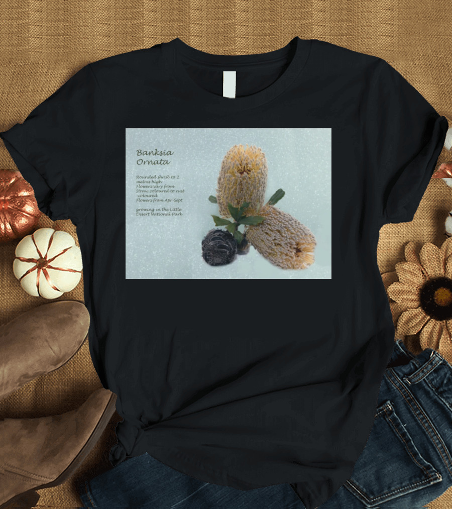 Banksia Ornata Rounded Shrubs Little Desert National Park Flowers T-Shirt