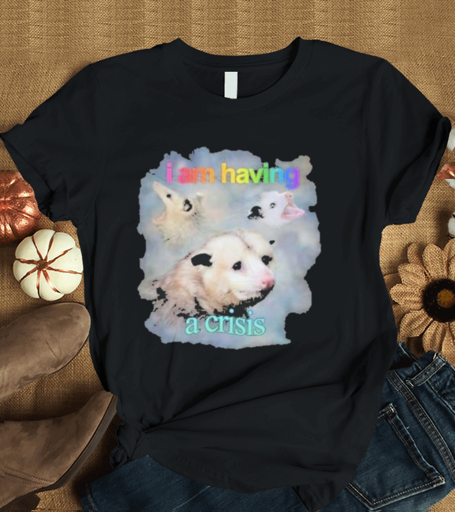 i am having a crisis possum T-Shirt