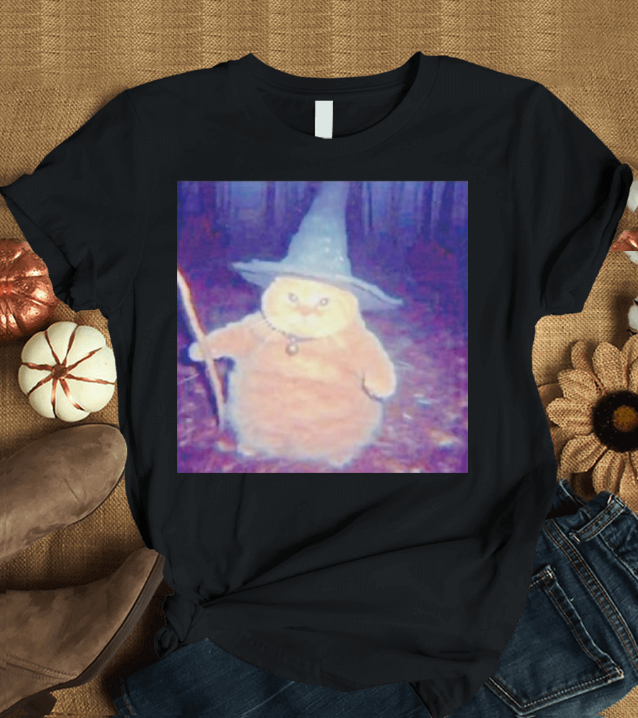 Cat Cheeseball Wizard Meme with Hat and Staff in Woods T-Shirt