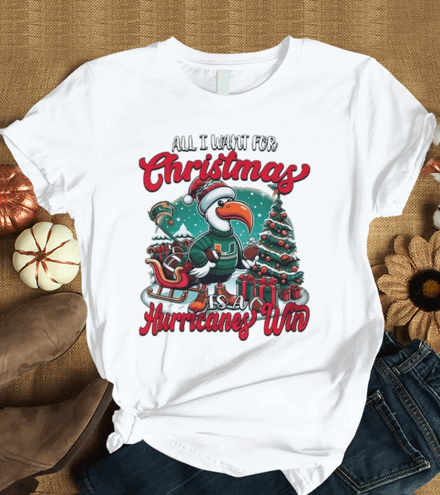 All I Want for Christmas Is a Hurricanes Win Santa Birdfest T-Shirt