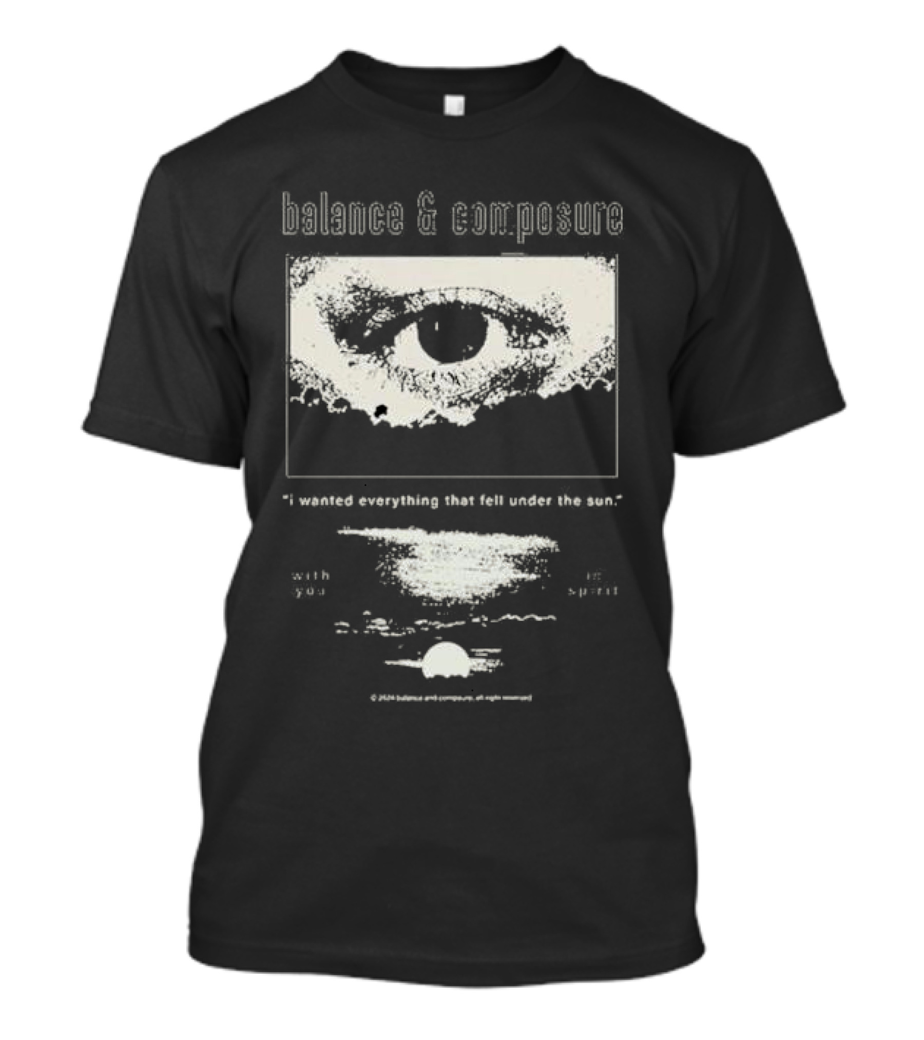 Balance And Composure I Wanted Everything That Fell Under The Sun With You In Spirit T-Shirt