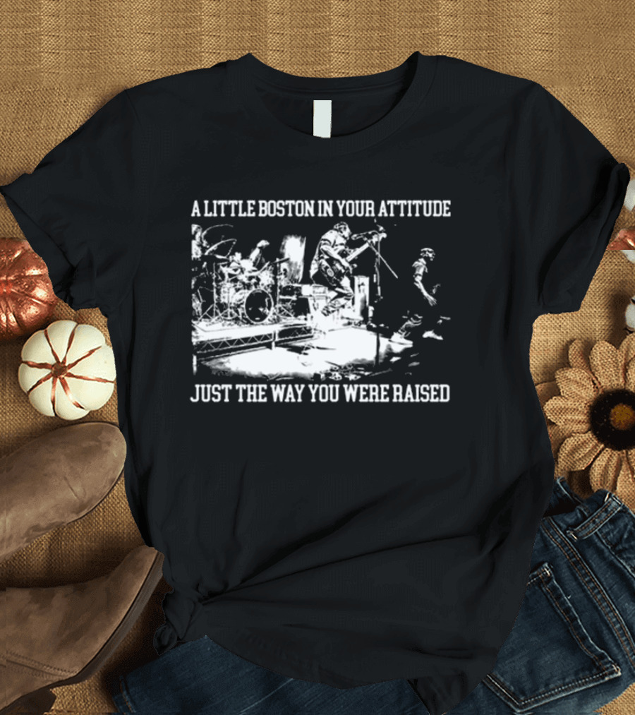 A Little Boston In Your Attitude Just The Way You Were Raised The Menzingers T-Shirt