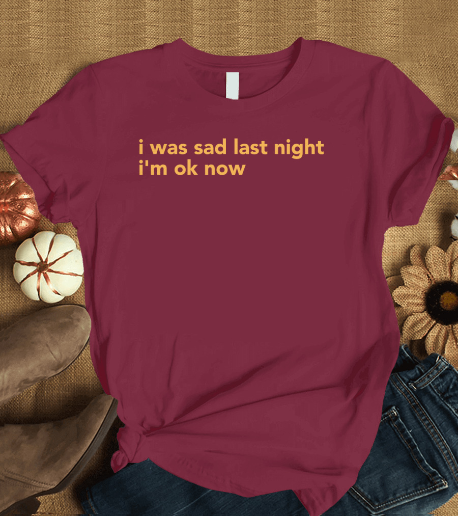 I Was Sad Last Night I'm Ok Now Burgundy Text T-Shirt