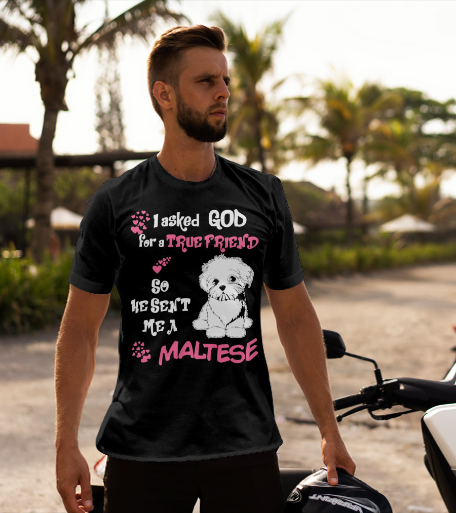 I Asked God For A True Friend So He Sent Me A Maltese T-Shirt