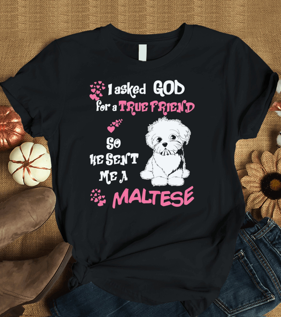 I Asked God For A True Friend So He Sent Me A Maltese T-Shirt